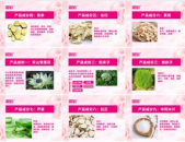 鑫玺舒优美私密养护帖,呵护女性健康之美